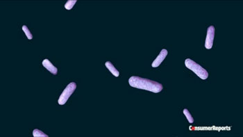 Superbacterias resistentes a los antibióticos